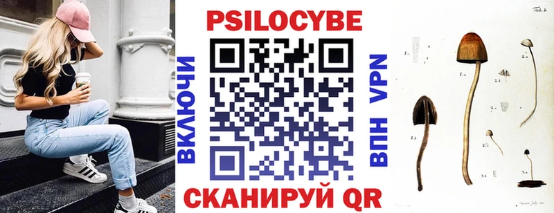 нарко площадка как зайти  Высоцк  Галлюциногенные грибы прущие грибы  наркотики 