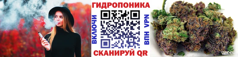 ОМГ ОМГ ссылка магазин продажи Высоцк Каннабис семена